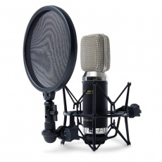 Marantz MPM3500R  Aktywny mikrofon wstęgowy, charakterystyka ósemkowa, pasmo przenoszenia 20Hz - 20kHz, SPL 135dB,